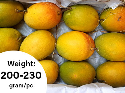 Organically Grown Devgad Alphonso Mango - 1 Dozen