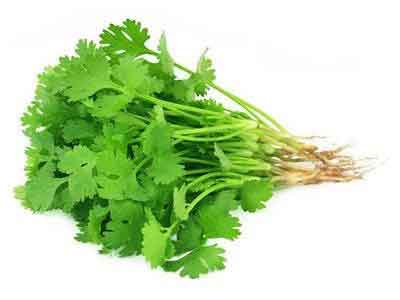 Organic Coriander