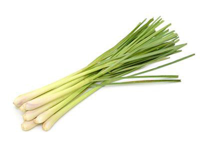 Organic Lemongrass