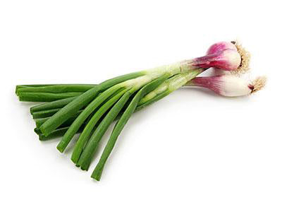 Organic Spring Onion
