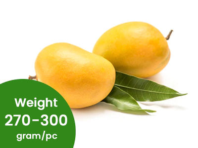 Organic Premium Alphonso Mango (Size Large)