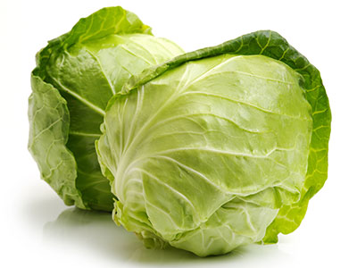 Organic Cabbage Green