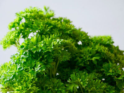 Buy Hydroponically Grown Parsley Online At Orgpick
