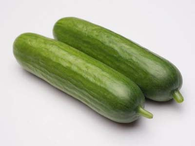 Snack Cucumber Dark Green (Hydroponically Grown)