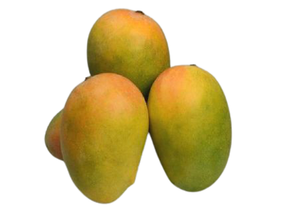 Organic Kesar Mango