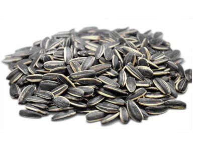 Buy Healthy Organic Sunflower Seeds Online At Orgpick