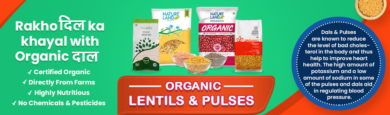 Lentain & Pulses Products at Orgpick Pvt Ltd