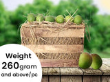 Organically Grown Alphonso Mango (Peti)-4 Dozen