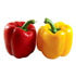 Bell Pepper (Hydroponically Grown)