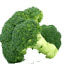 Broccoli (Hydroponically Grown)