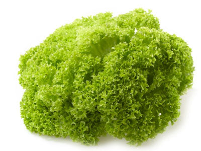 Buy Hydroponically Grown Green Lollo Rosso Lettuce Online At Orgpick