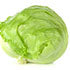 Iceberg Lettuce (Hydroponically Grown)