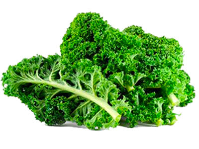 Buy Hydroponically Grown Kale Online At Orgpick