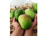 Buy Organically Grown 5 Dozen Alphonso Mango Peti Online at Orgpick