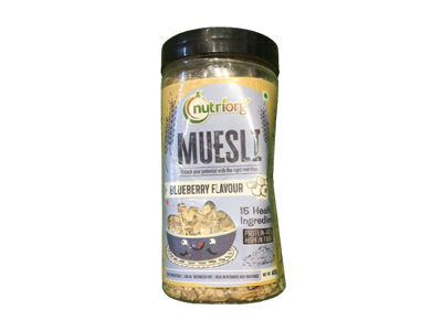 Muesli Blueberry (Nutriorg)