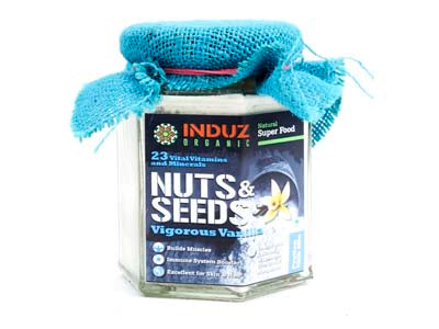 Buy Best Quality Organic Nut & Seeds Vanilla Powder (Protein Milk Mix) Online
