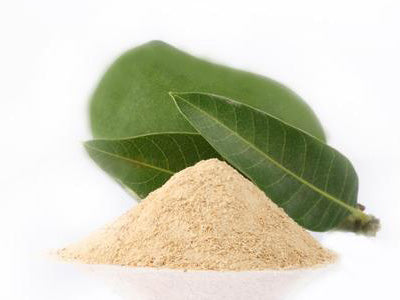 Organic Amchoor Powder