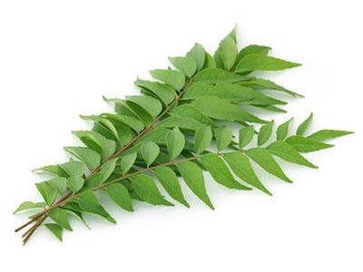 Organic Curry Leaves