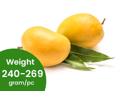 Organic Premium Alphonso Mango (Size A)
