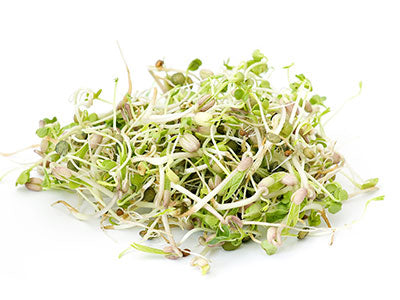 Organic Beans Sprout Mix Green in Colour Orgpick.com