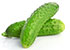 Organic Cucumber Green - Orgpick.com