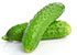 Organic Cucumber Green