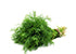 Organic Dill Leaves - Orgpick.com