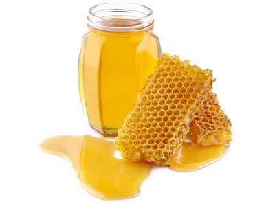 Buy Organic Forest Honey At Orgpick