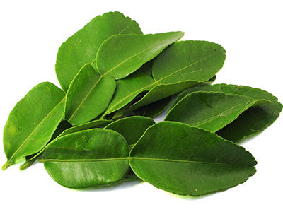 Organic Kaffir Lime Leaves imported