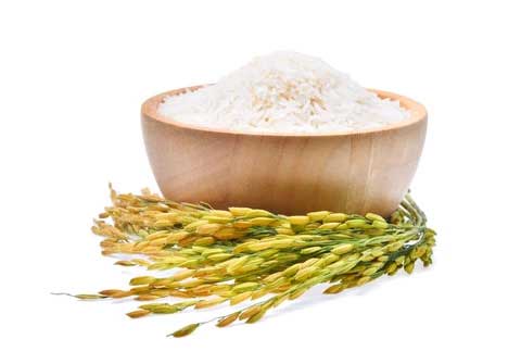 Organic Kolam Rice