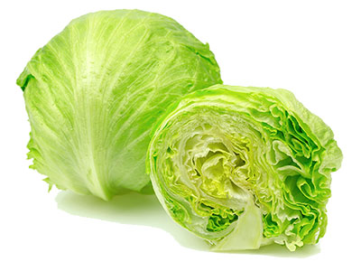 Organic Lettuce Iceberg