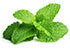 Organic Mint - Orgpick.com