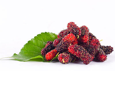 Organic Mulberry