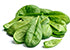 Organic Spinach - Orgpick.com