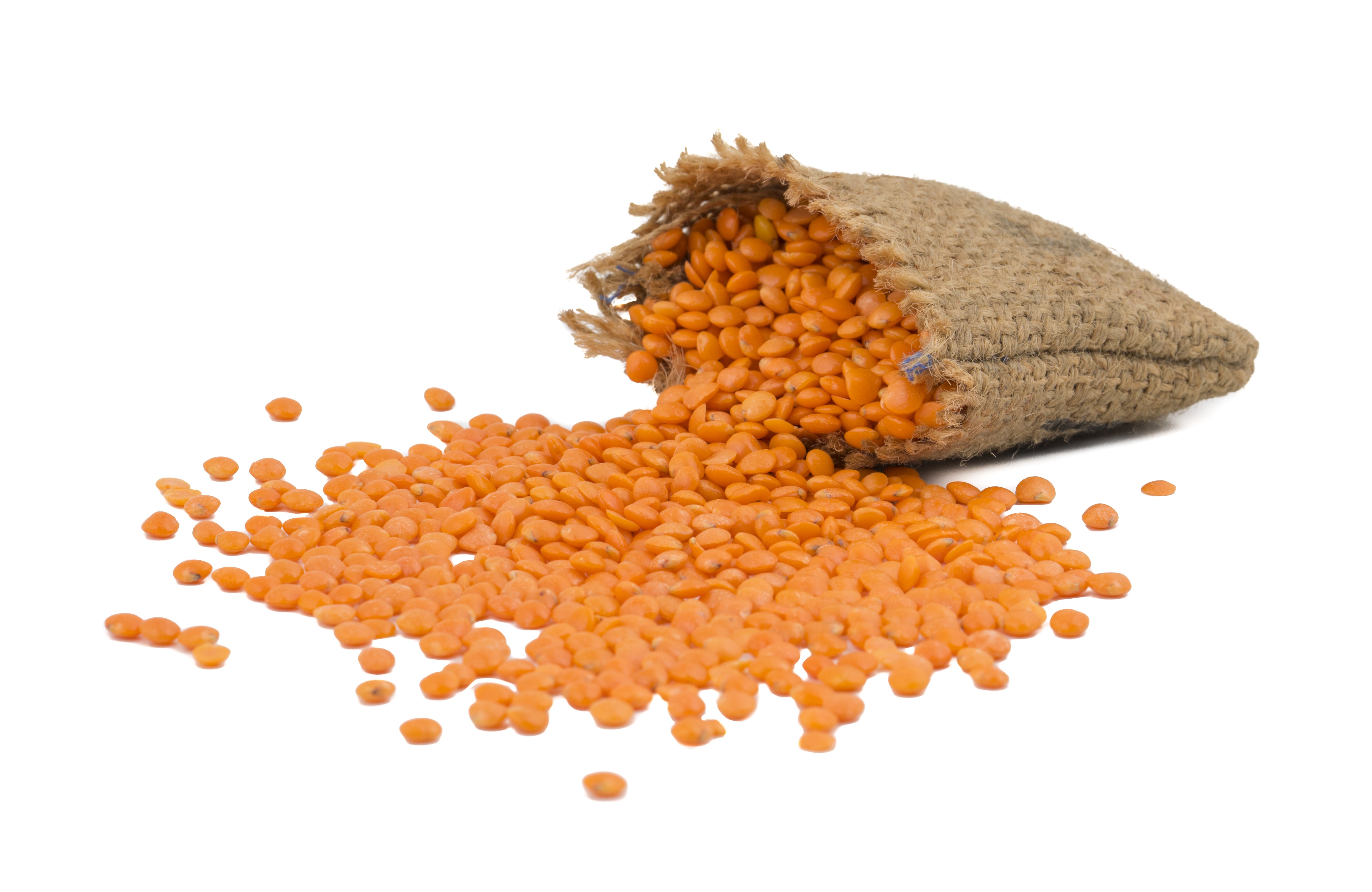 Organic Split Red Lentil (Masoor Dal) - Orgpick.com