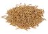 Organic Whole Cumin Seeds (Jeera) - Orgpick.com