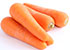 Organic Carrot - Orgpick.com
