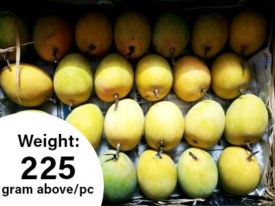 Organically Grown Alphonso Mango- 2 Dozen