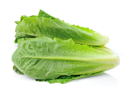 Buy Hydroponically Grown Romaine Lettuce Online At Orgpick