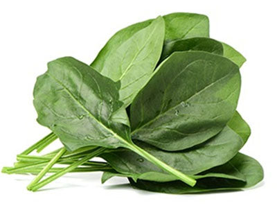 Spinach (Hydroponically Grown)