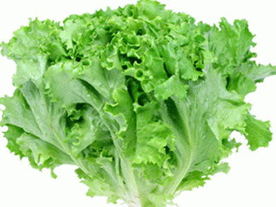 Buy Hydroponically Grown Summer Crisp Lettuce Online At Orgpick