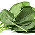 Baby Spinach (Hydroponically Grown)