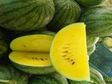 Yellow Watermelon (Residue Free)