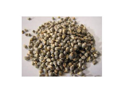 Organic Bajri