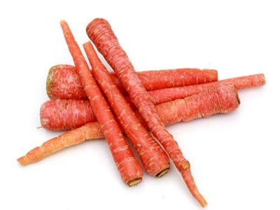 Organic Carrot - Delhi