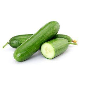 European Cucumber (Hydroponically Grown)