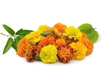 100% Organic Zendu /Genda / Marigold Flower