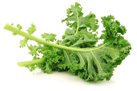 Kale (Sky Hydroponics)