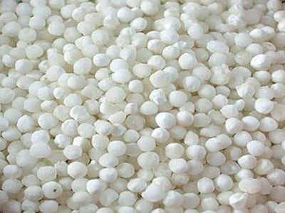 Organic Sabudana (Sago)