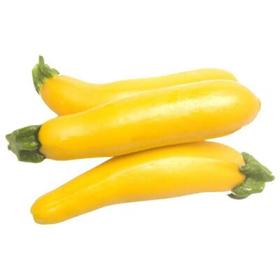Zucchini Yellow (Hydroponically Grown)